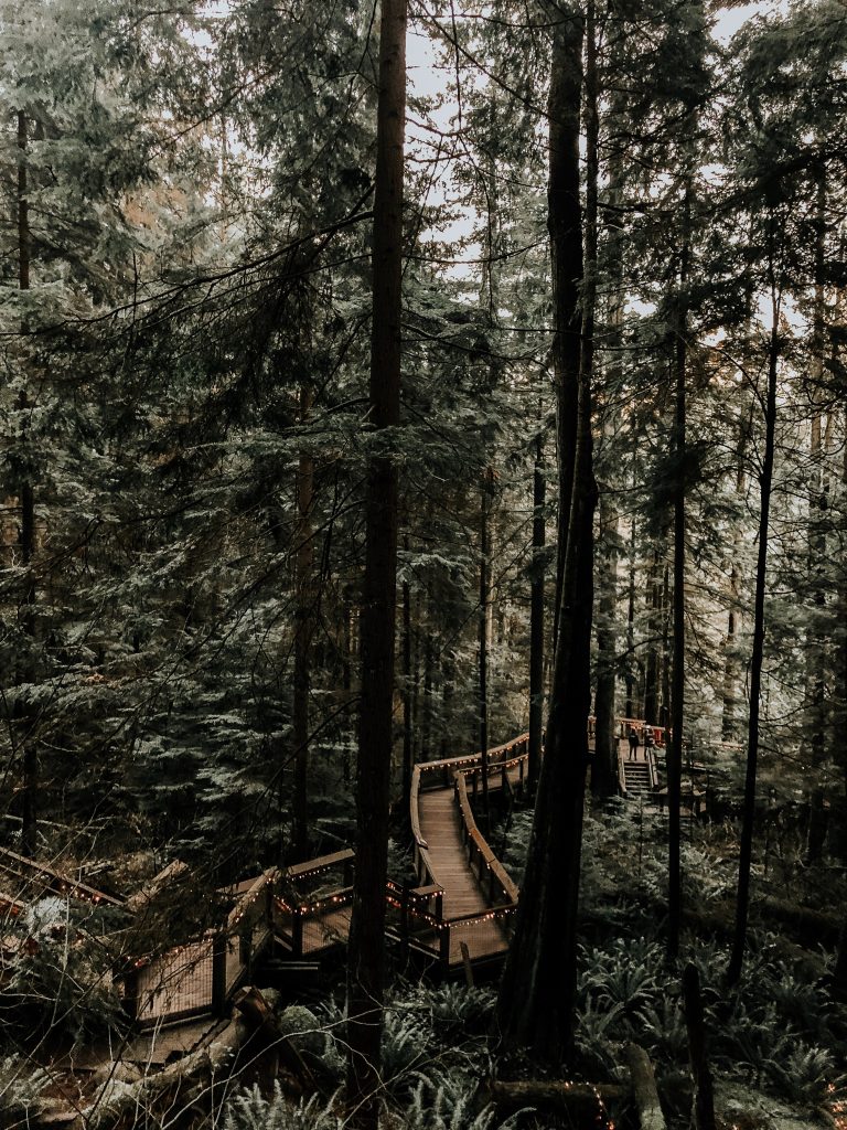 WALKING IN CREATION WHILE LISTENING TO HYMNS