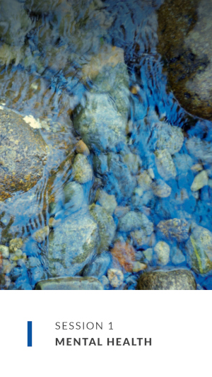 session 1 cover image