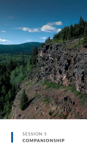 session 5 cover image