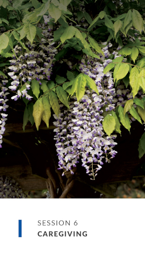 session 6 cover image