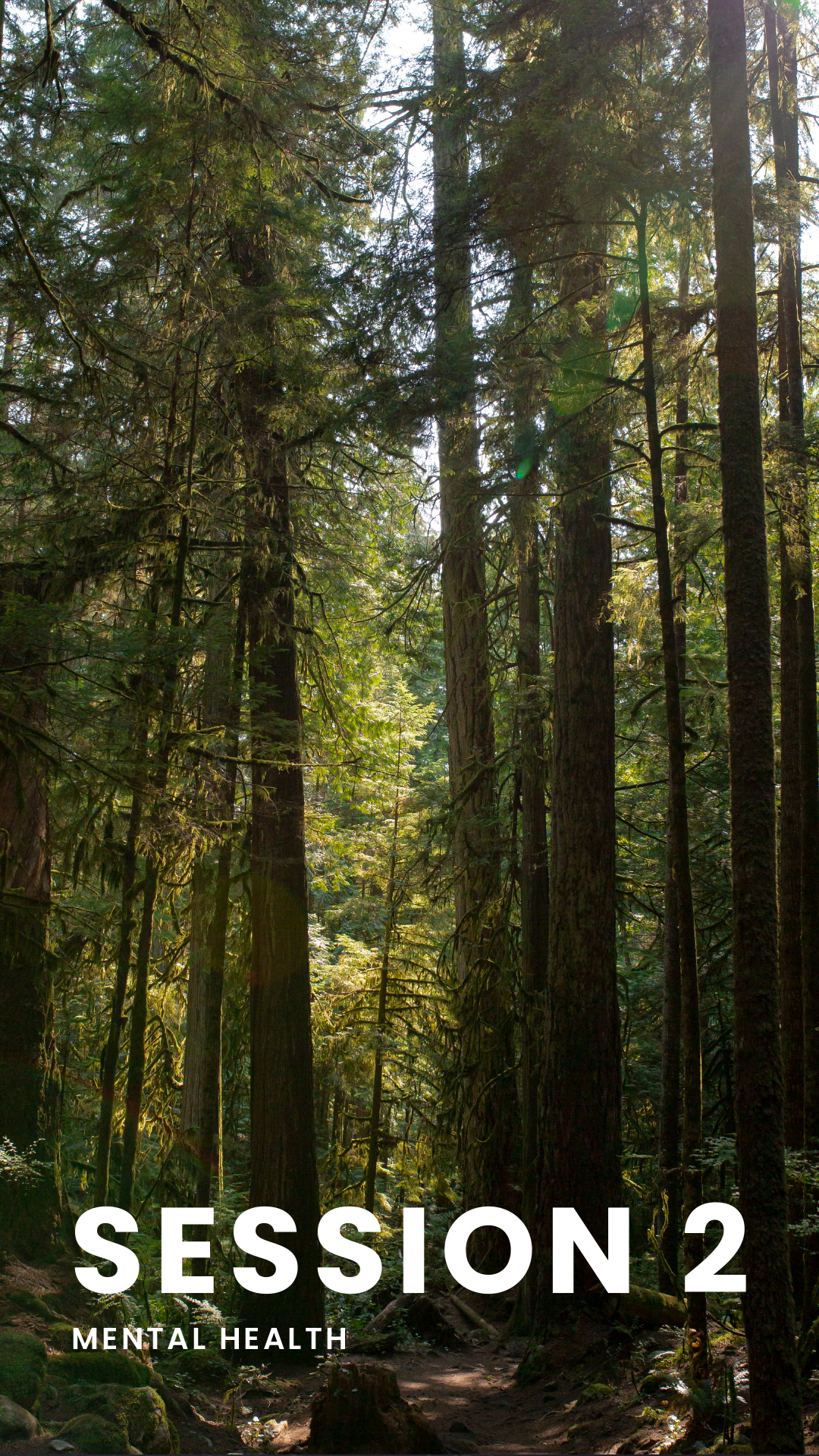 session 2 Catholic cover page