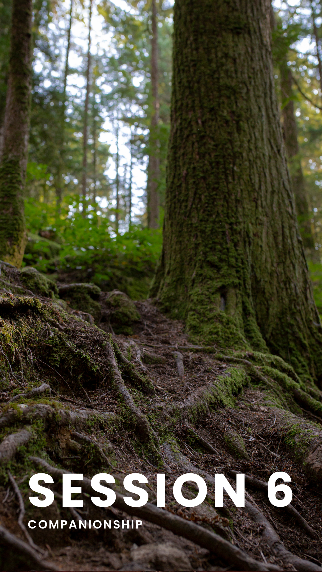 session 6 Catholic cover page