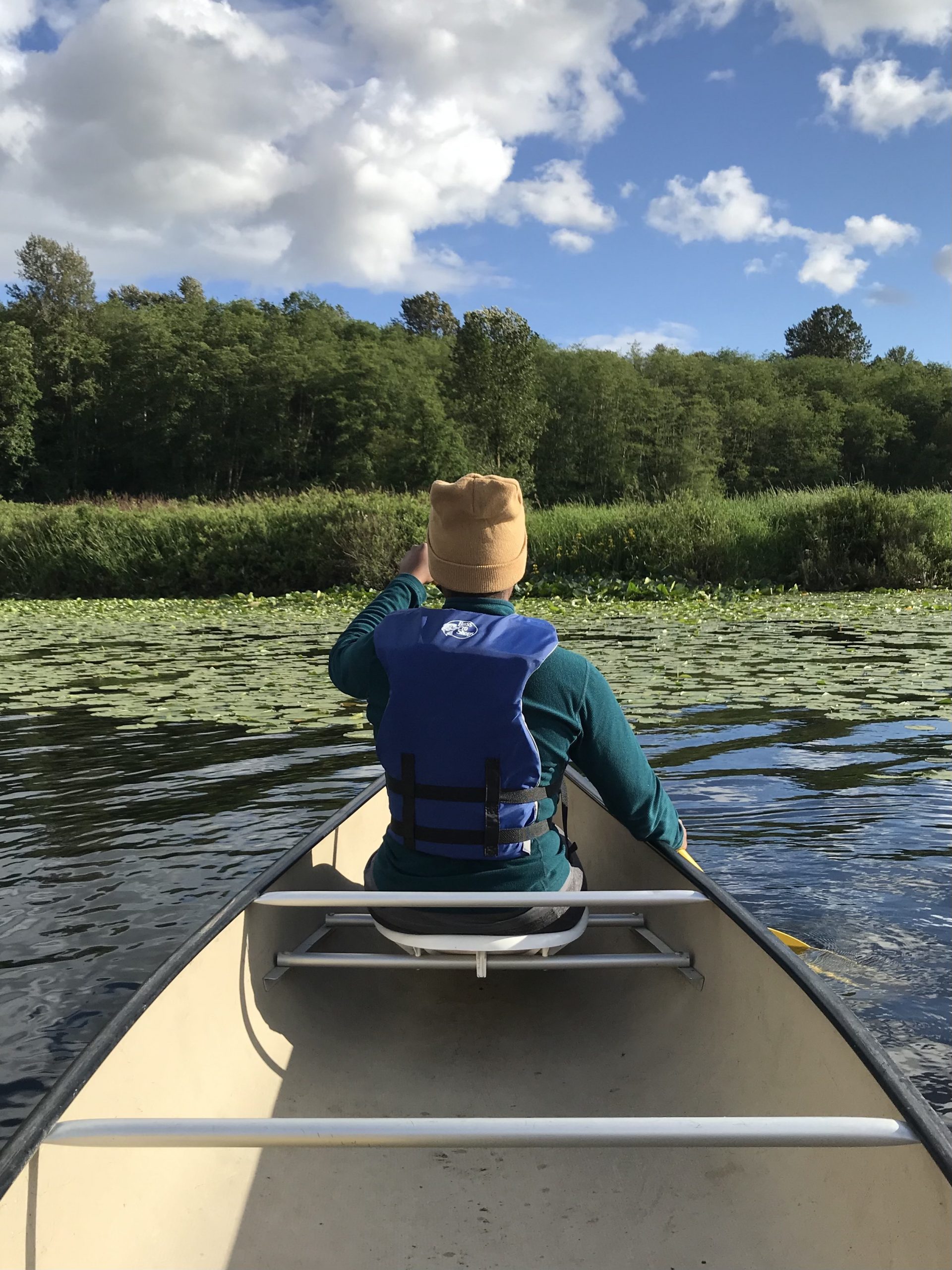a person canoeing through lilypads in a marshy, forested area