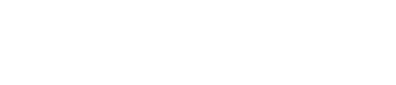 NAYBA logo